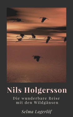 Selma Lagerlöf Nils Holgersson обложка книги