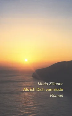 Mario Ziltener Als ich Dich vermisste обложка книги