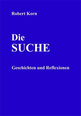 Robert Korn Die Suche обложка книги