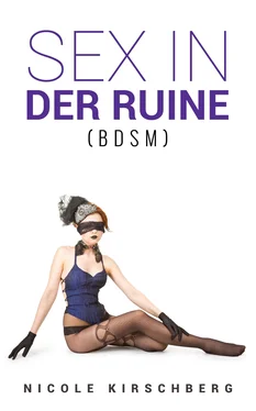 Nicole Kirschberg Sex in der Ruine (BDSM) обложка книги