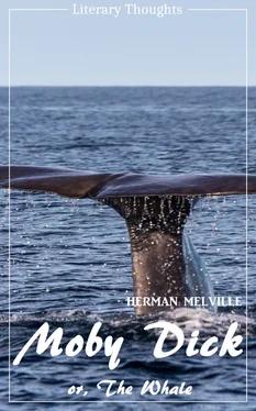 Herman Melville Moby Dick (Herman Melville) (Literary Thoughts Edition) обложка книги