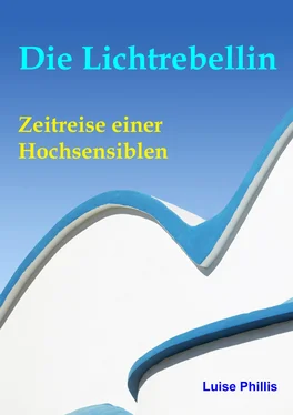 Luise Phillis Die Lichtrebellin обложка книги