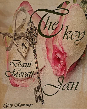 Dani Merati The key - Jan обложка книги