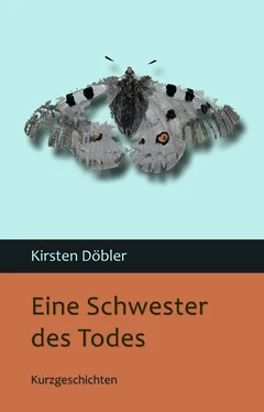 Kirsten Döbler Eine Schwester des Todes обложка книги