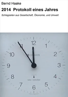 Bernd Haake 2014 Protokoll eines Jahres обложка книги