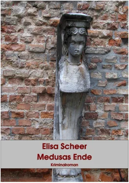 Elisa Scheer Medusas Ende обложка книги