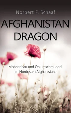 Norbert F. Schaaf Afghanistan Dragon обложка книги