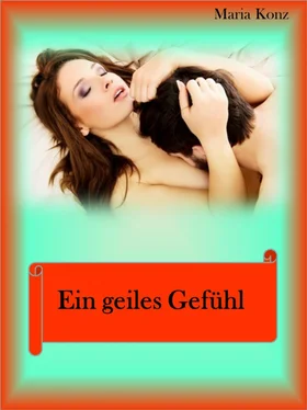 Maria Konz Ein geiles Gefühl обложка книги