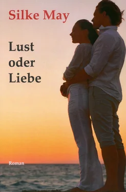 Silke May Lust oder Liebe обложка книги