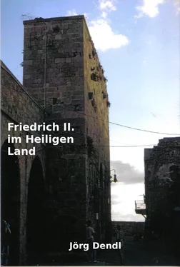 Jörg Dendl Friedrich II. im Heiligen Land обложка книги