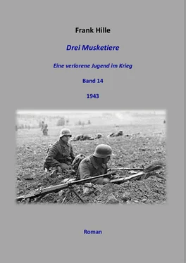 Frank Hille Drei Musketiere - Eine verlorene Jugend im Krieg, Band 14 обложка книги