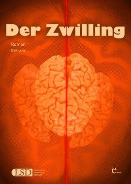 H. DERHANK Der Zwilling обложка книги