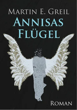 Martin E. Greil Annisas Flügel обложка книги