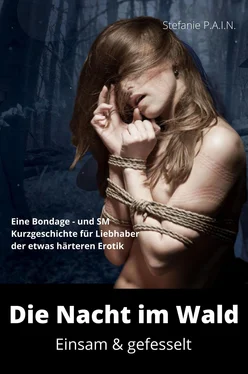 Stefanie P.A.I.N Die Nacht im Wald - einsam und gefesselt обложка книги