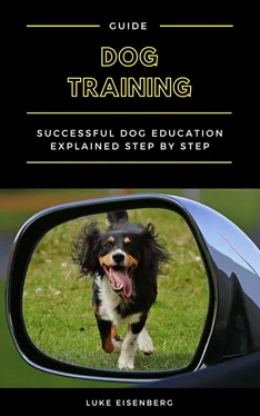 Luke Eisenberg Dog Training обложка книги