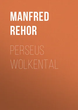 Manfred Rehor PERSEUS Wolkental обложка книги