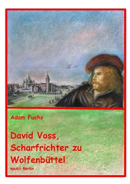 Adam Fuchs David Voss - Scharfrichter zu Wolfenbüttel обложка книги