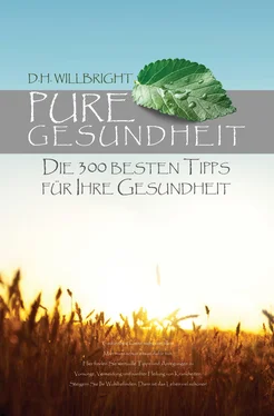 H. Willbright Pure Gesundheit обложка книги