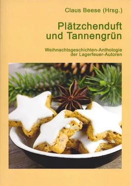 Claus Beese (Hrsg.) Plätzchenduft und Tannengrün обложка книги