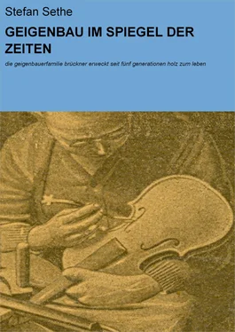 Stefan Sethe GEIGENBAU IM SPIEGEL DER ZEITEN обложка книги