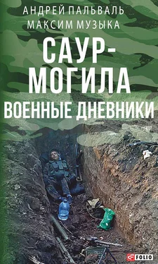 Максим Музыка Саур-Могила. Военные дневники (сборник) обложка книги