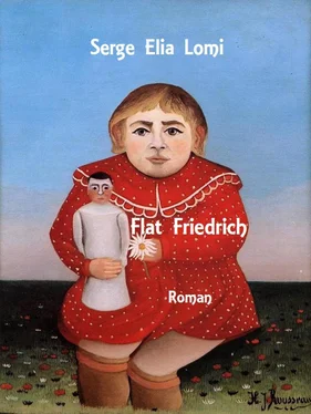 Serge Elia Lomi Flat Friedrich обложка книги
