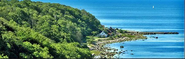 Auf Bornholm entsteht wegen der zahlreichen großen und kleinen Wälder und Haine - фото 332