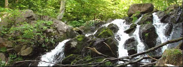 Døndalen20 m hoher Wasserfall in der Nähe von Rø und Bornholms Kunstmuseum - фото 333
