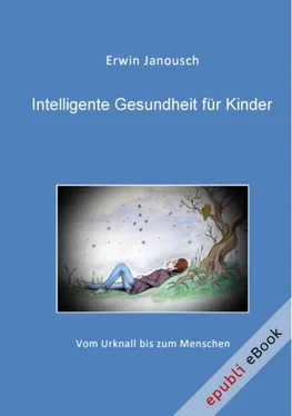 Erwin Janousch Intelligente Gesundheit für Kinder обложка книги