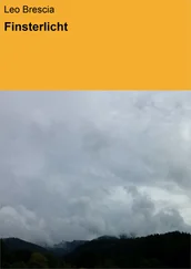 Leo Brescia - Finsterlicht