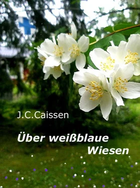 J.C. Caissen Über weißblaue Wiesen обложка книги