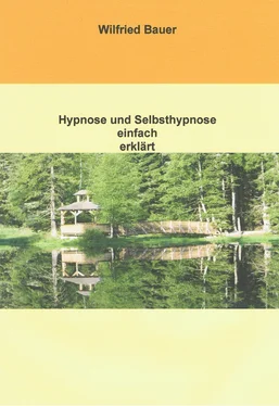 Wilfried Bauer Hypnose und Selbsthypnose einfach erklärt обложка книги
