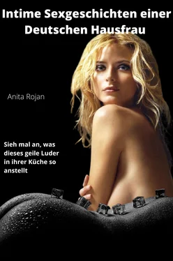 Anita Rojan Intime Sexgeschichten einer deutschen Hausfrau обложка книги