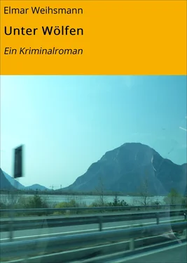 Elmar Weihsmann Unter Wölfen обложка книги