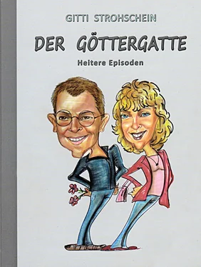 Gitti Strohschein Der Göttergatte обложка книги