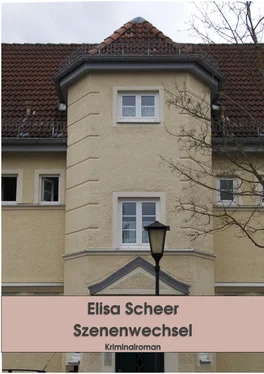 Elisa Scheer Szenenwechsel обложка книги