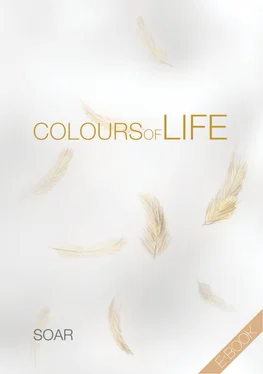 Soar . Colours of Life обложка книги
