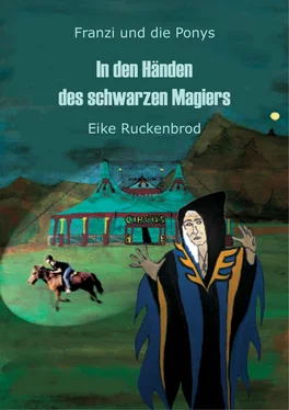 Eike Ruckenbrod Franzi und die Ponys - Band II обложка книги