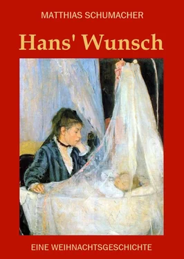 Matthias Schumacher Hans' Wunsch обложка книги