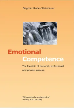 Dagmar Rudel-Steinbauer Emotional Competence обложка книги