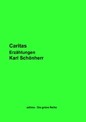 Karl Schönherr - Caritas