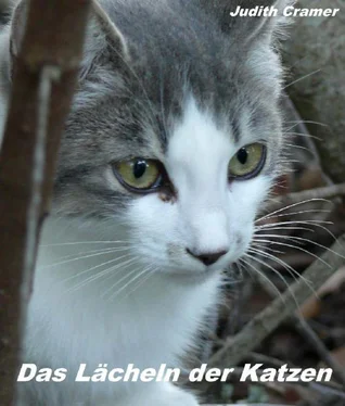 Judith Cramer Das Lächeln der Katzen обложка книги