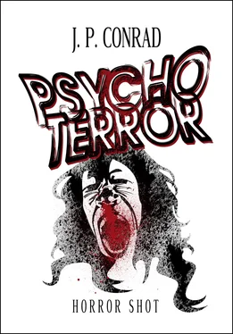 J.P. Conrad Psychoterror обложка книги