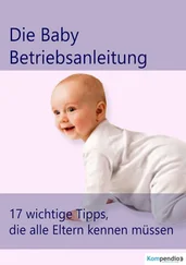 Alessandro Dallmann - die Baby Betriebsanleitung