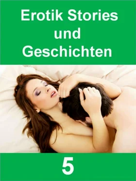 Sandra Wagner Erotik Stories und Geschichten 5 - 393 Seiten обложка книги