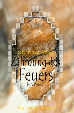 Billy Remie Zähmung des Feuers обложка книги