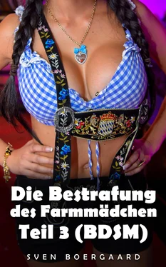 Sven Boergaard Die Bestrafung des Farmmädchen - Teil 3 (BDSM) обложка книги