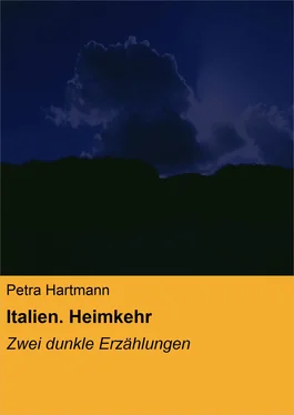 Petra Hartmann Italien. Heimkehr обложка книги