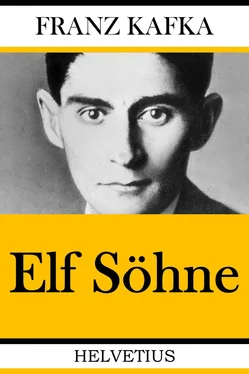 Franz Kafka Elf Söhne обложка книги