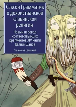 Станислав Селицкий Саксон Грамматик о дохристианской славянской религии. Новый перевод соответствующих фрагментов XIV книги Деяний Данов обложка книги